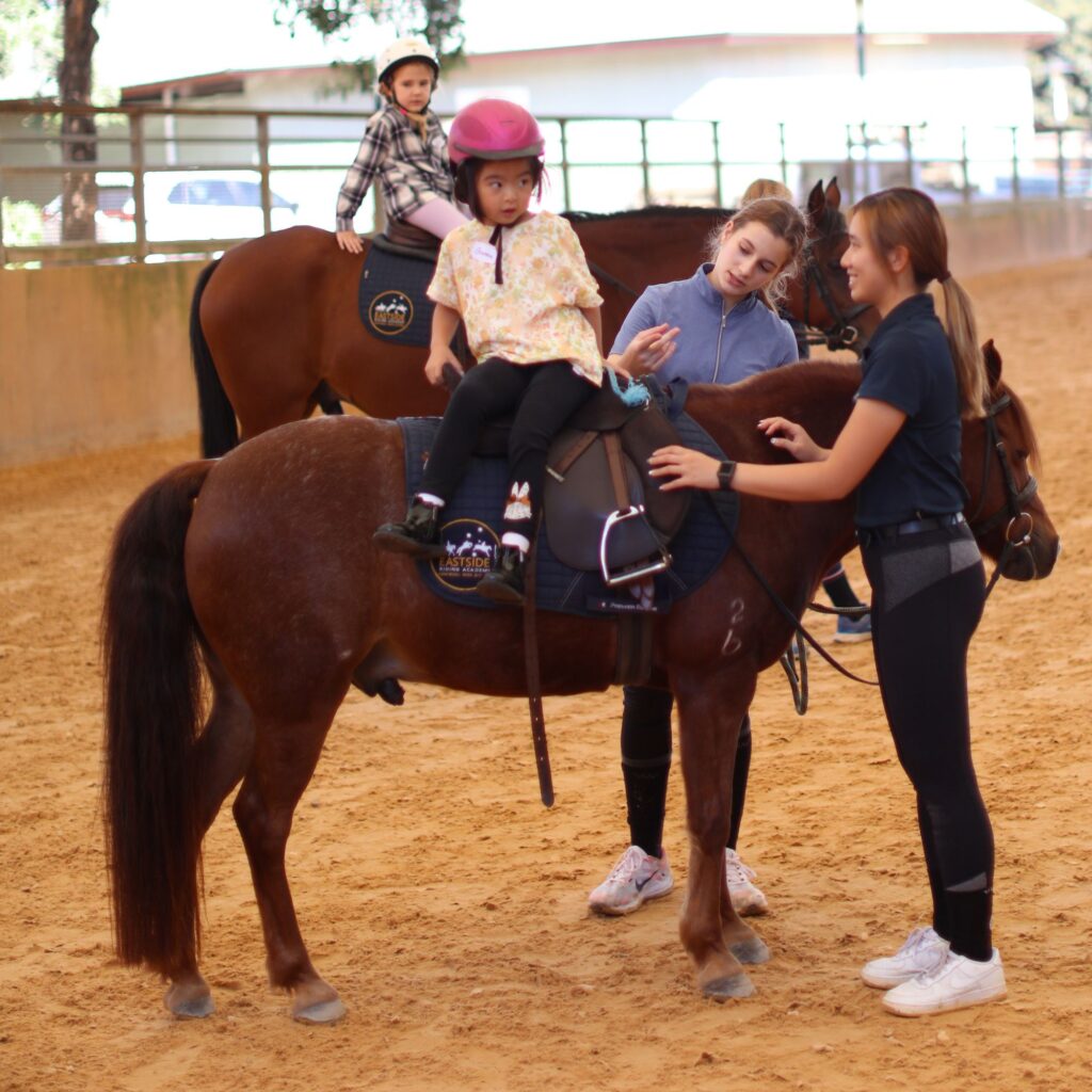 Eastside Riding Academy Sydney Centennial Park Horse Riding School Holiday Programs