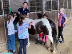 JUNIOR JOCKEY CAMP  |  Centennial Park