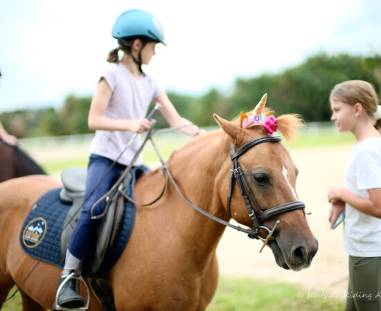 Eastside Riding Academy Sydney Centennial Park Horse Riding School Holiday Programs