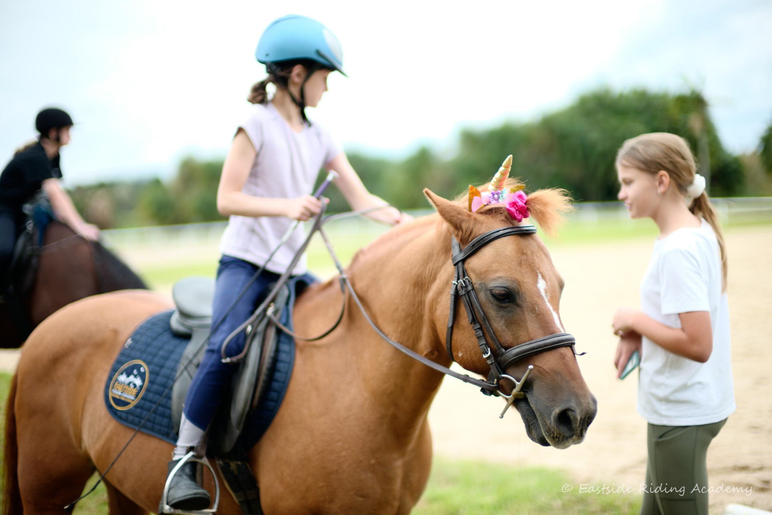 HORSE RIDING CAMP  |  Centennial Park