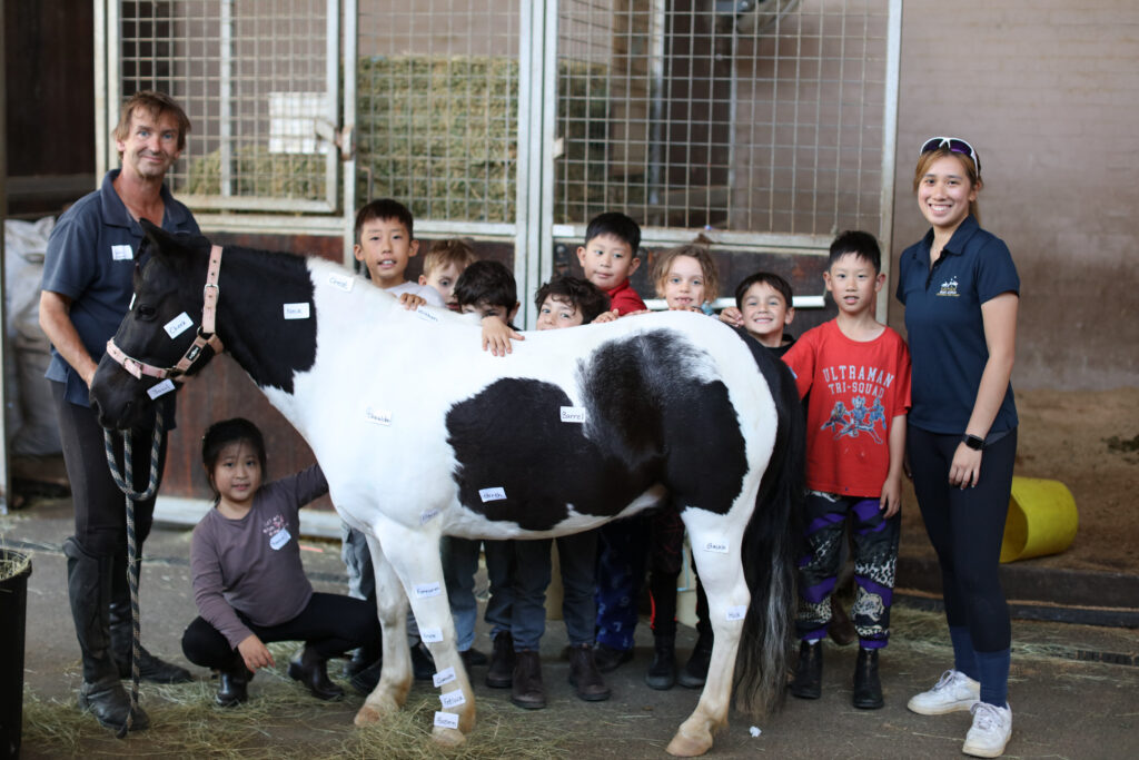 Eastside Riding Academy Sydney Centennial Park Horse Riding School Holiday Programs