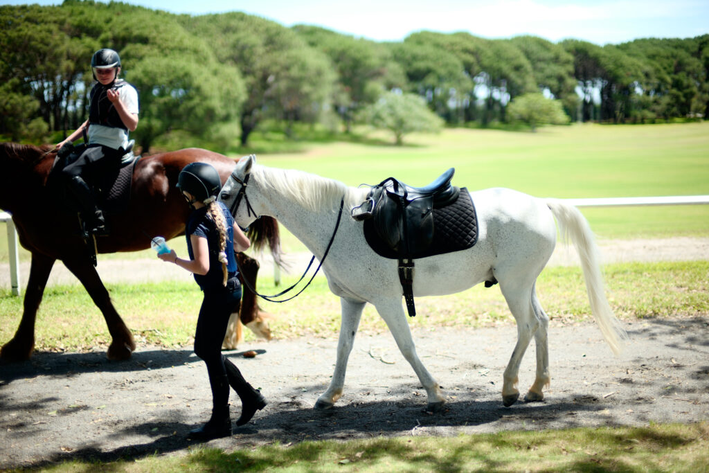 Eastside Riding Academy Sydney Centennial Park Horse Riding School Holiday Programs